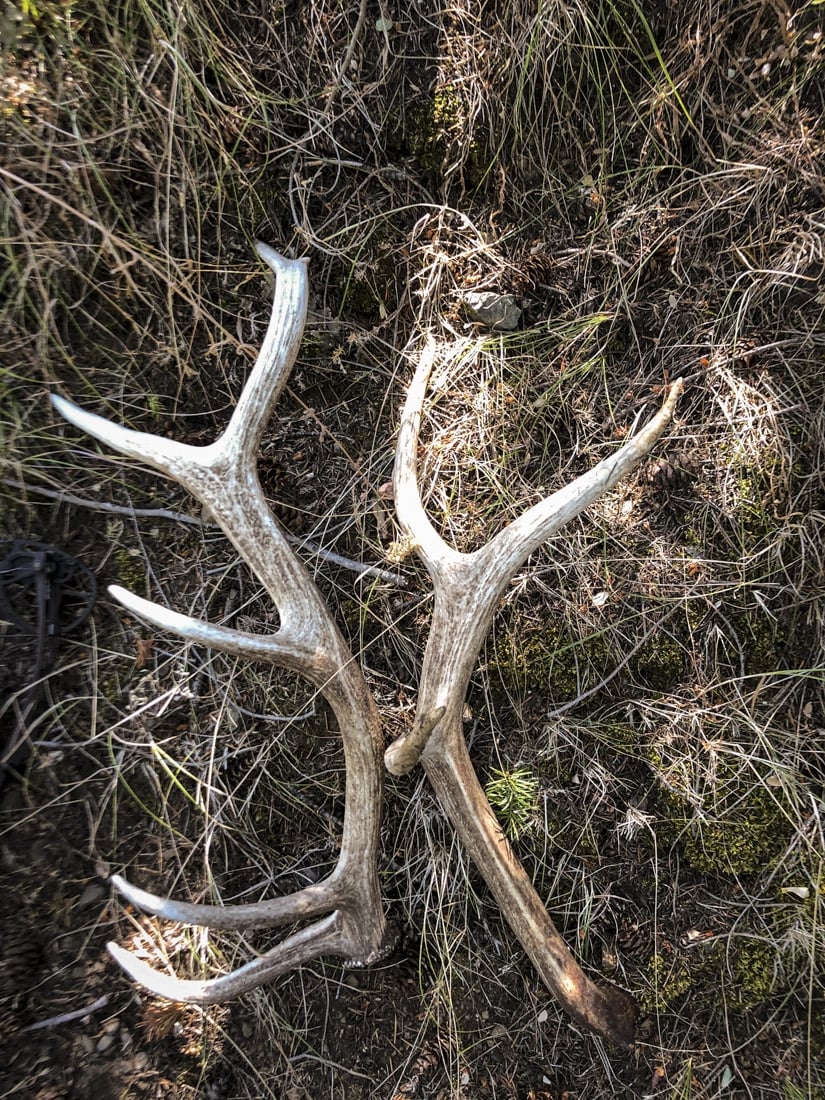 042924_Jimmy Hurley-ELK-OR-DIY-PL_IMG_2142_Edited