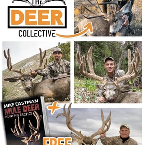 The Deer Collective Virtual Course
