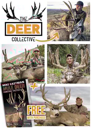 The Deer Collective Virtual Course