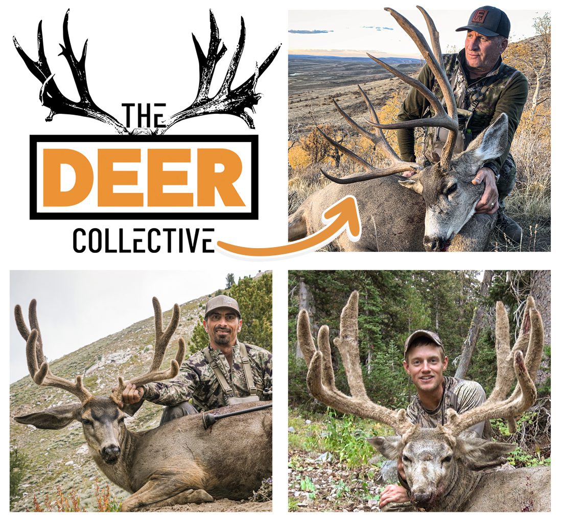 DeerCollective_Product