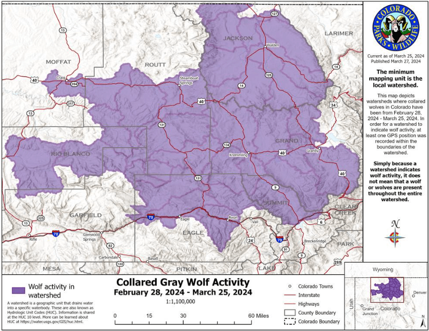 Collared gray wolf activity recorded by CPW from Feb. 28 to Mar