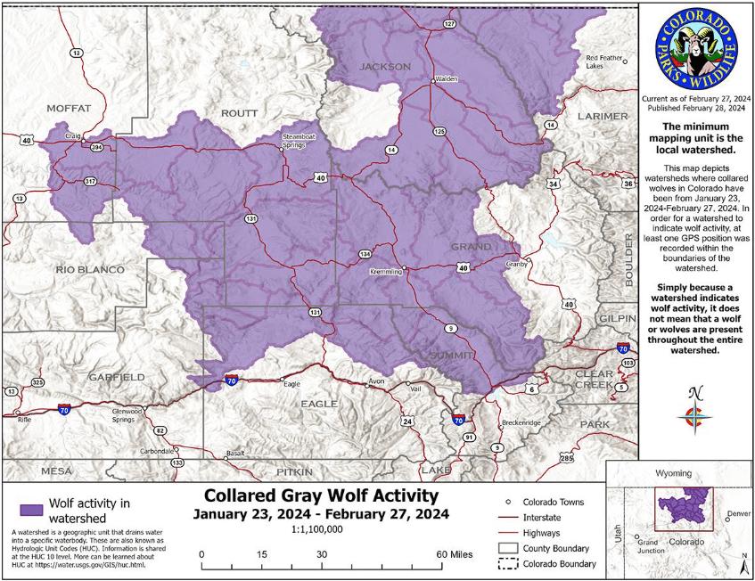Collared gray wolf activity recorded by CPW from Jan. 23, to Feb
