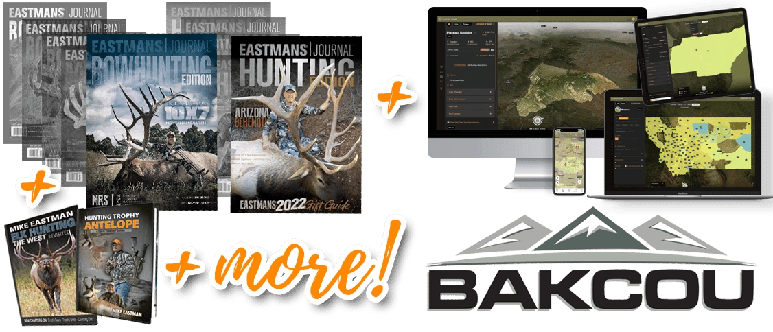 TH_Bakcou_Banner