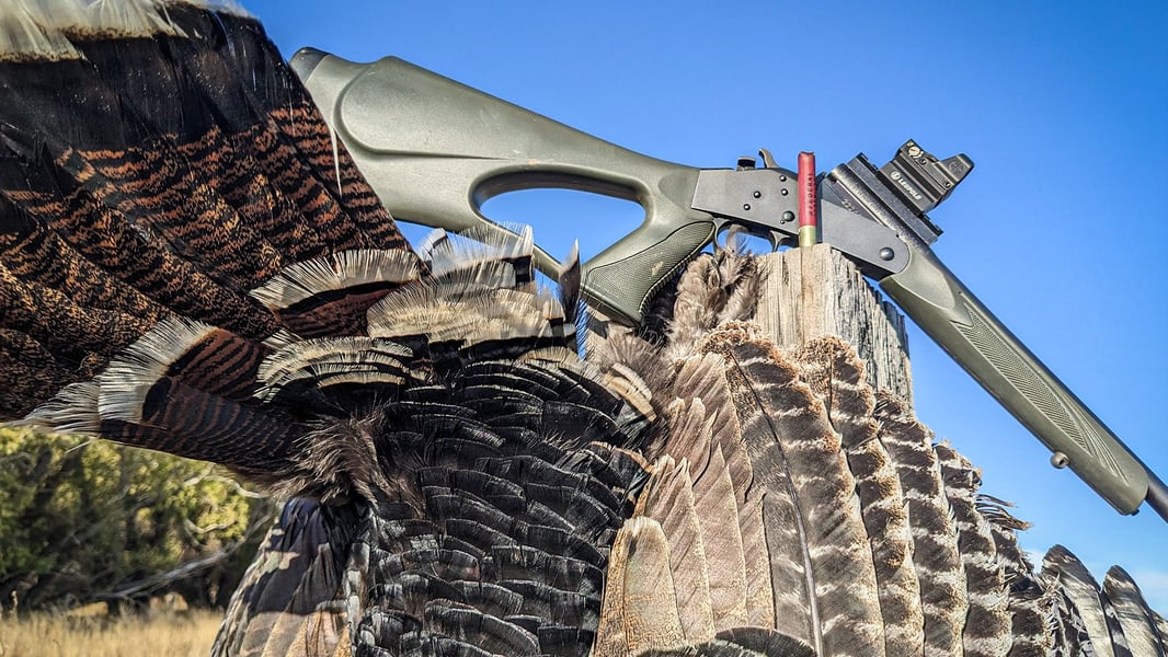 Wingmen_Blog- East Vs. West- A Turkey Hunting Showdown!