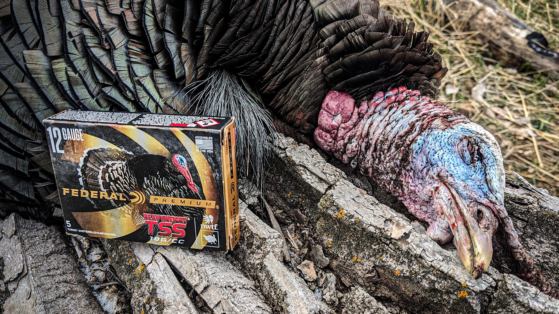 Wingmen_Blog-“This Is The Way” - Turkey Hunting Lies