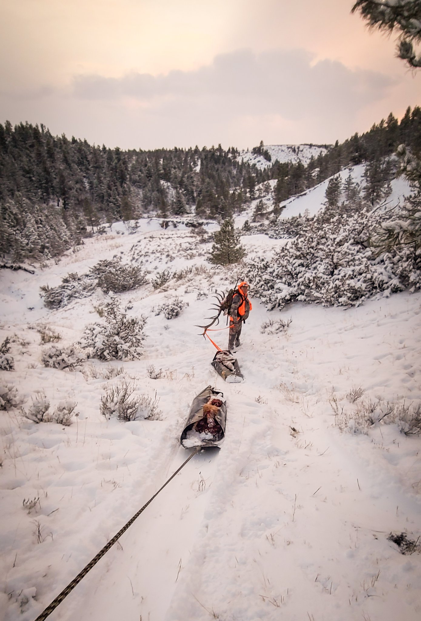051424_Bryan Clendenen-ELK-MT-DIY-PVIMG_9858