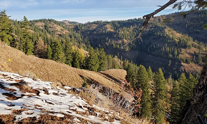 052124_Ed Boreo-ELK-OR-DIY-PL20201028_084617