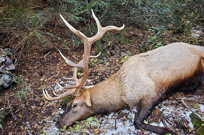 052124_Ed Boreo-ELK-OR-DIY-PL20201028_161115