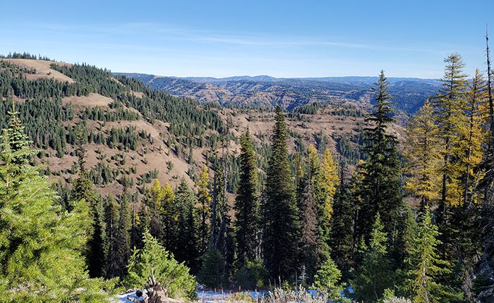 052124_Ed Boreo-ELK-OR-DIY-PL20201029_110212