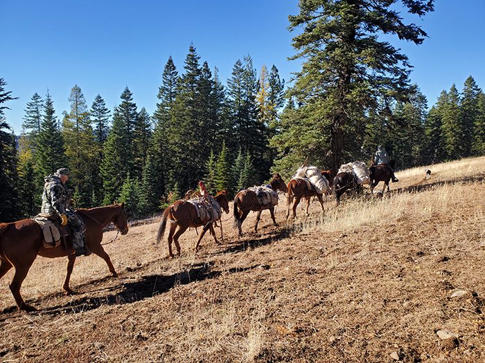 052124_Ed Boreo-ELK-OR-DIY-PL20201029_143333