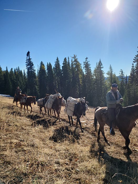 052124_Ed Boreo-ELK-OR-DIY-PL20201029_143400 (1)
