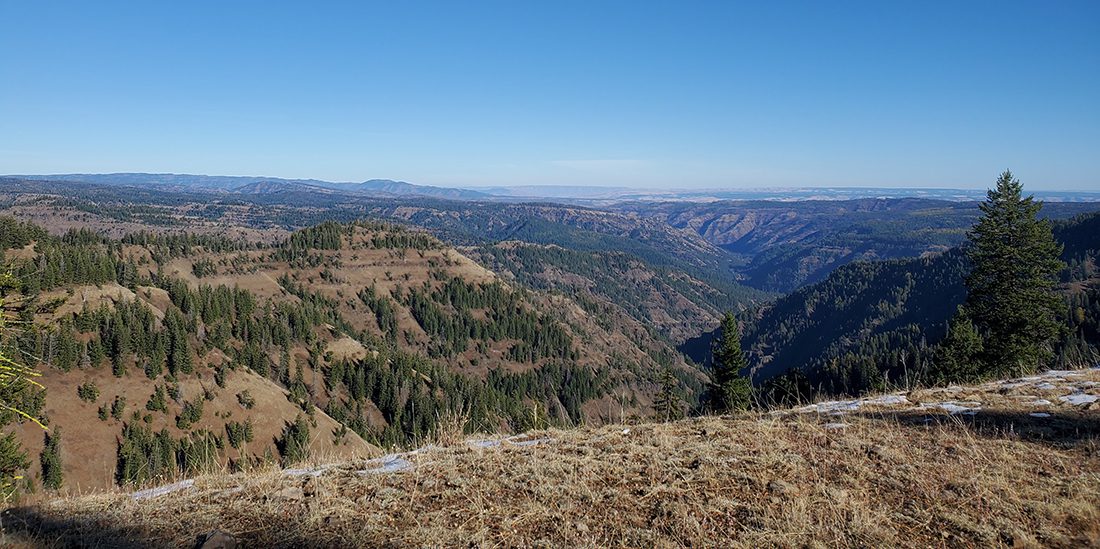052124_Ed Boreo-ELK-OR-DIY-PL20201029_143620