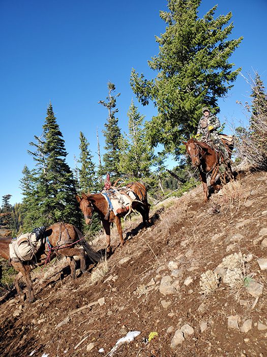 052124_Ed Boreo-ELK-OR-DIY-PL20201029_143832