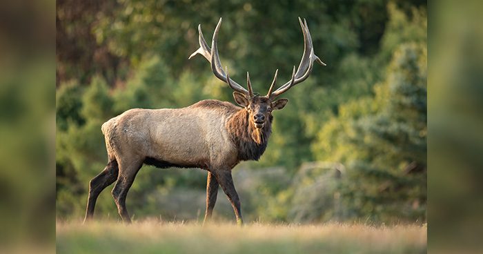 Blog_ELK_WY
