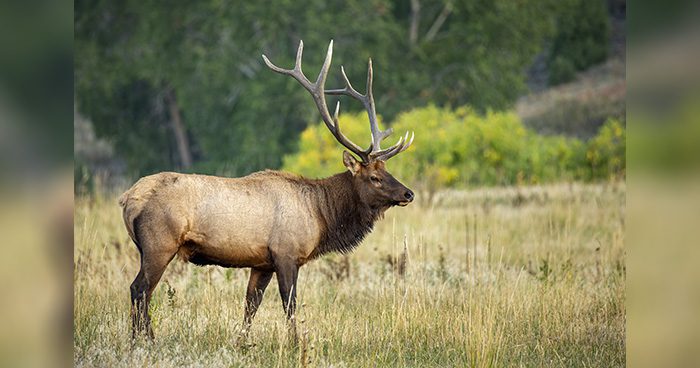 Blog_ELK_WY