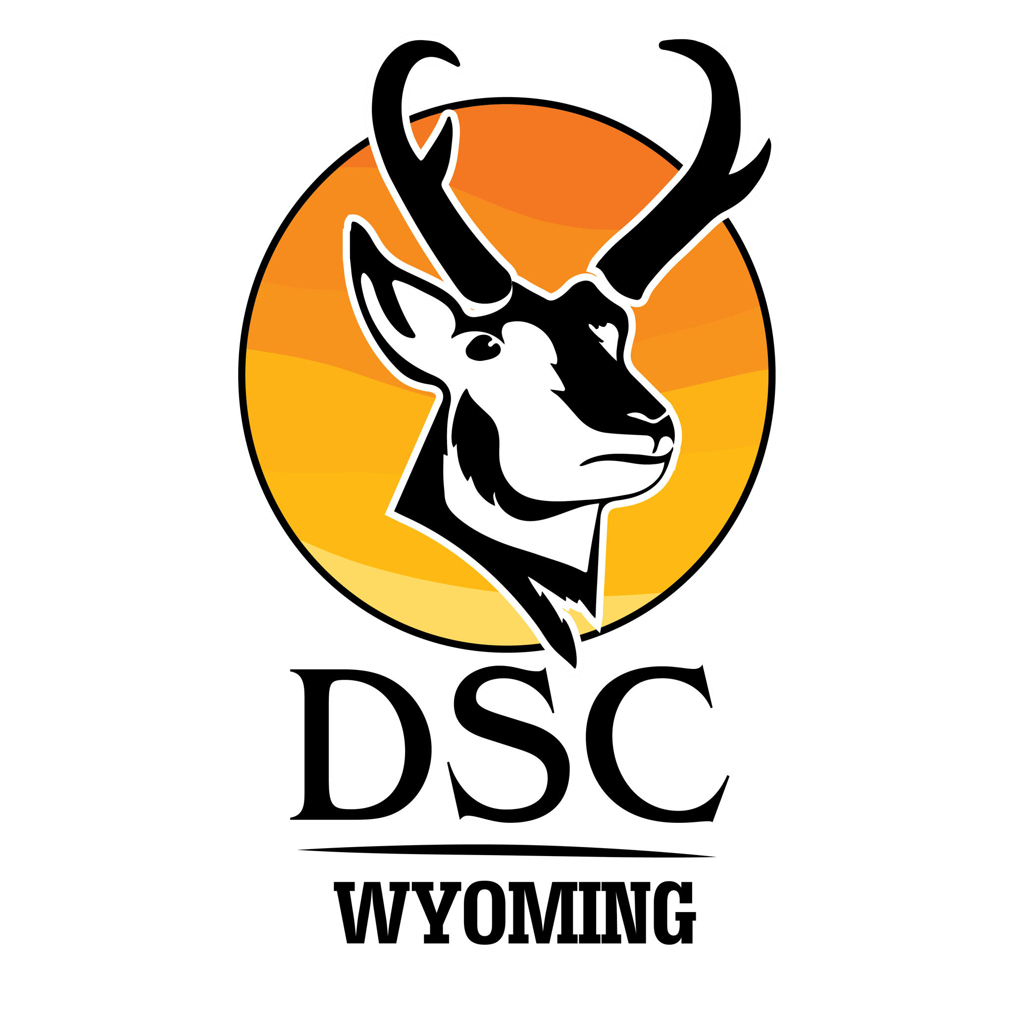 DSC_Logo