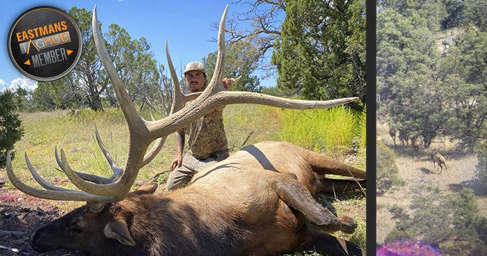 061024_G-Curtis Davis-ELK-DIY-NM-PL