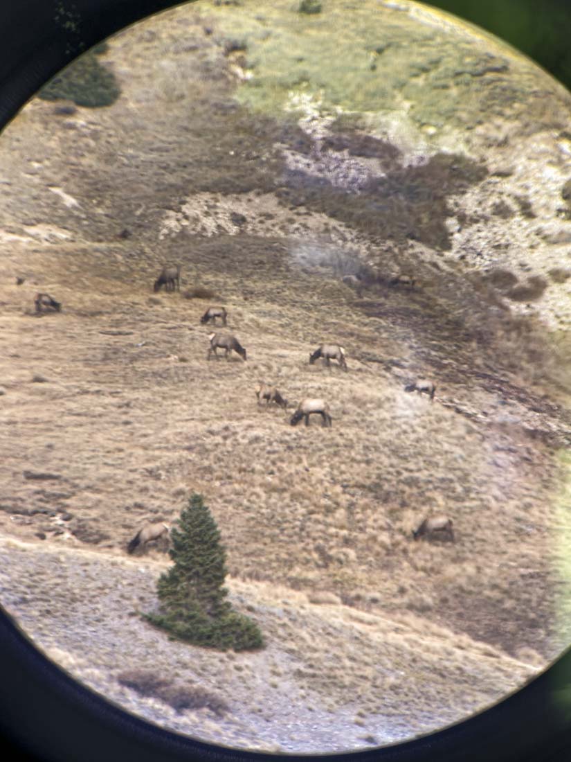 062424_Levi Siebert-ELK-CO-DIY-PL_IMG_0325_Edits