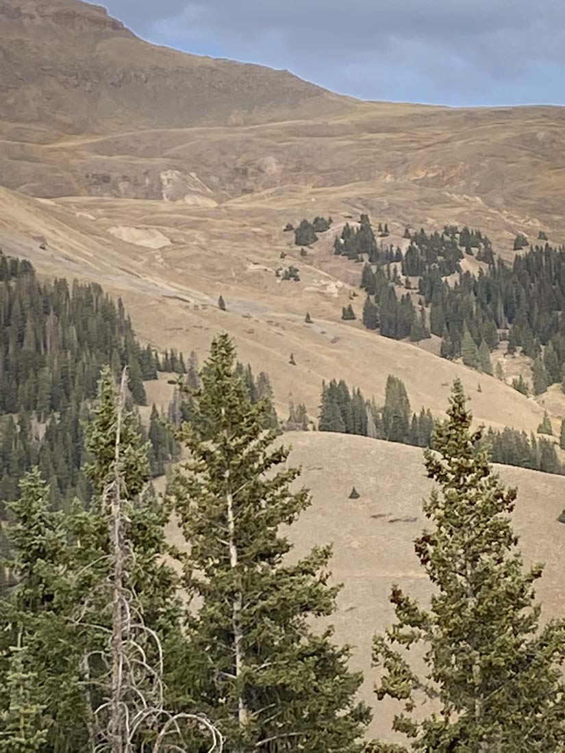 062424_Levi Siebert-ELK-CO-DIY-PL_IMG_0330_Edits