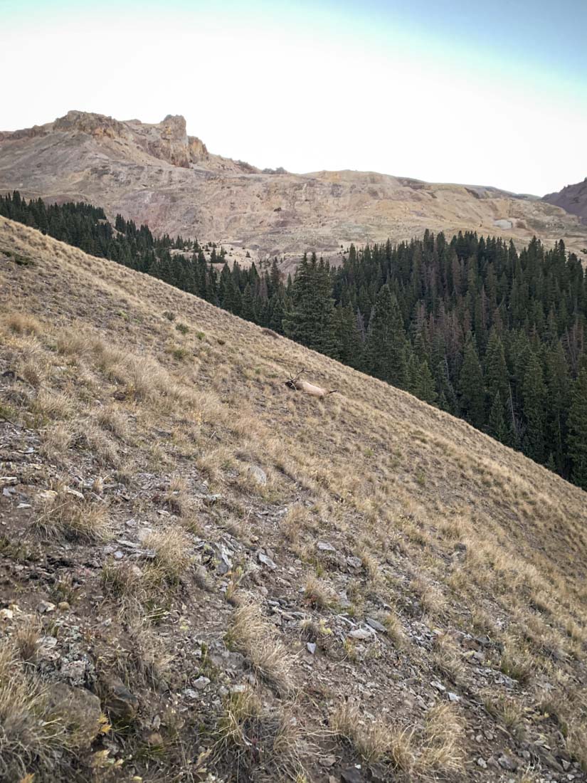 062424_Levi Siebert-ELK-CO-DIY-PL_IMG_6022_Edits