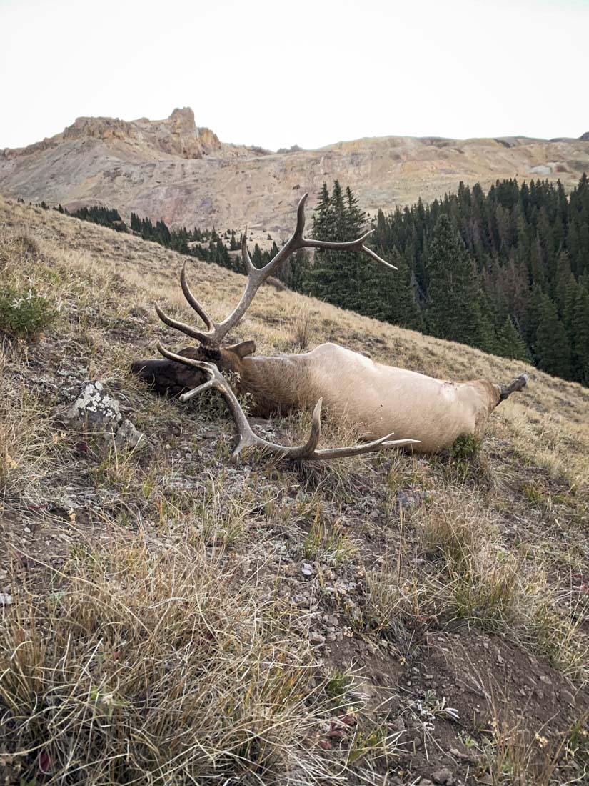 062424_Levi Siebert-ELK-CO-DIY-PL_IMG_6027_Edits