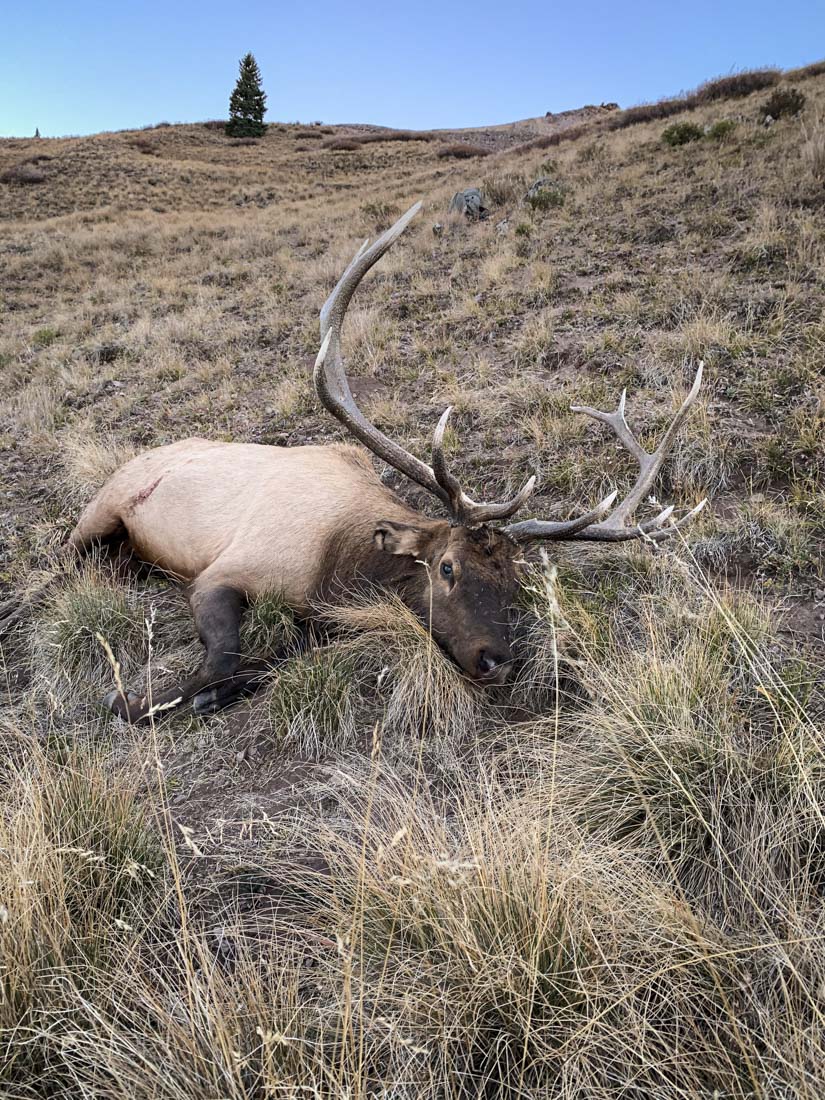 062424_Levi Siebert-ELK-CO-DIY-PL_IMG_6028_Edits