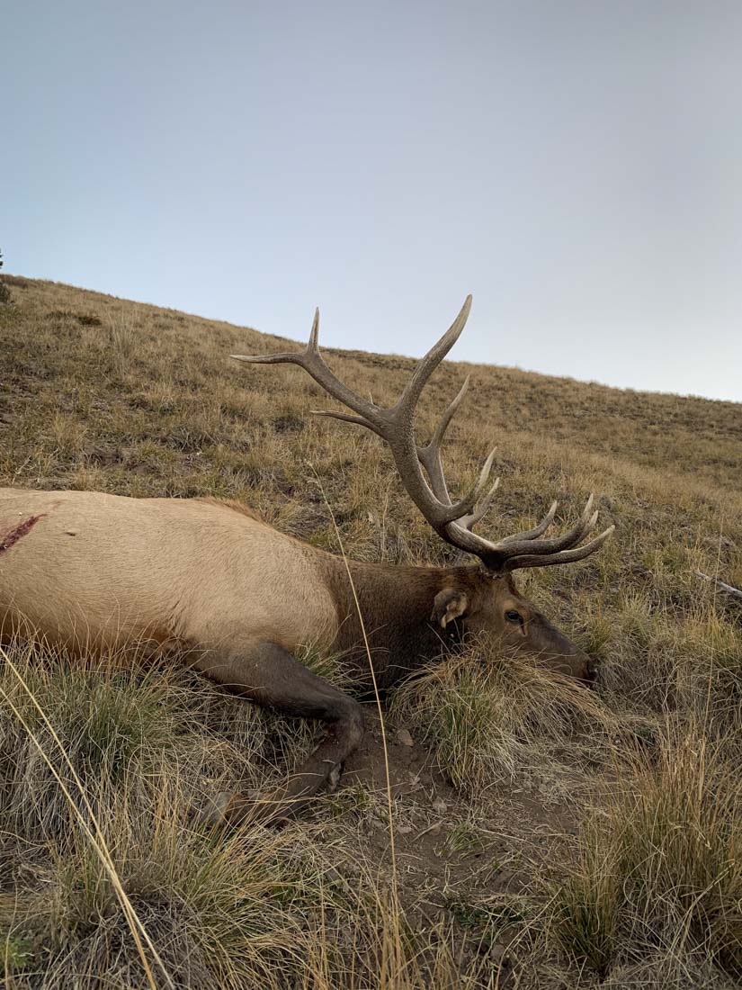 062424_Levi Siebert-ELK-CO-DIY-PL_IMG_6031_Edits