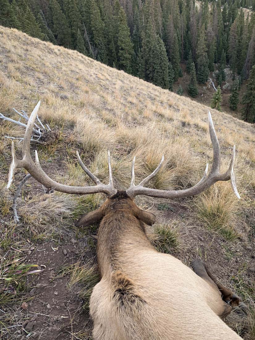 062424_Levi Siebert-ELK-CO-DIY-PL_IMG_6032_Edits
