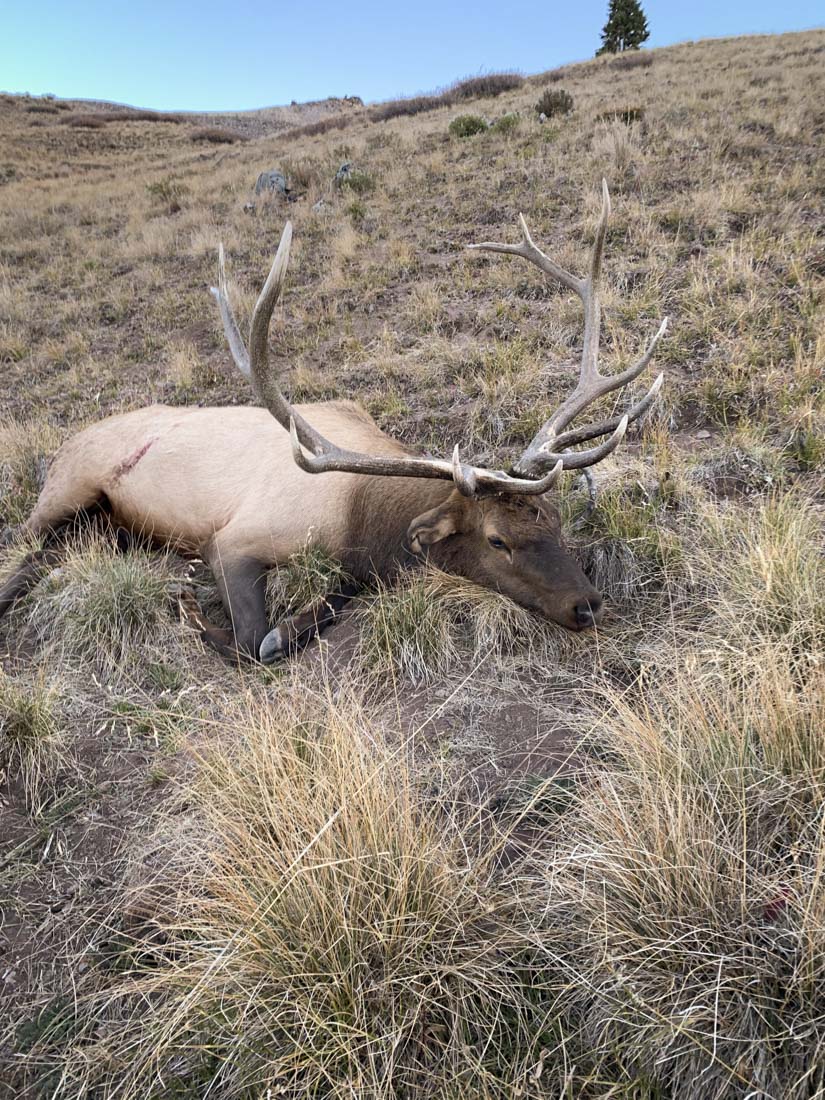 062424_Levi Siebert-ELK-CO-DIY-PL_IMG_6042_Edits