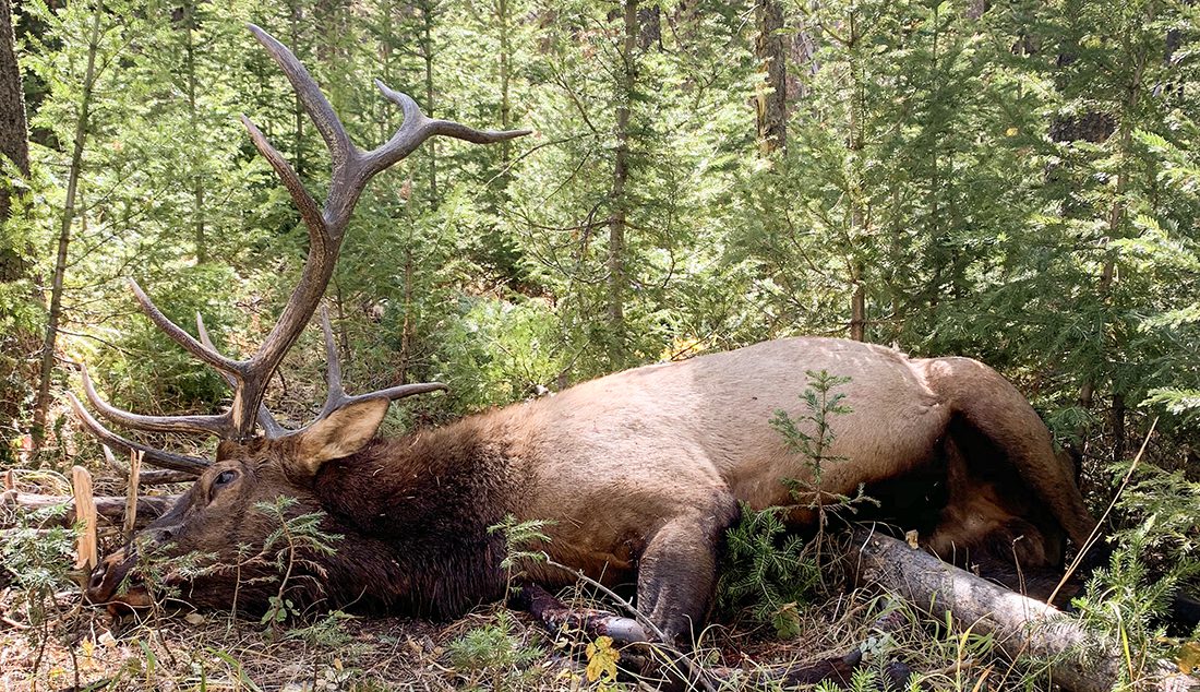 52824_Eric Hughston-ELK-WY-DIY-PLimage1 (6)