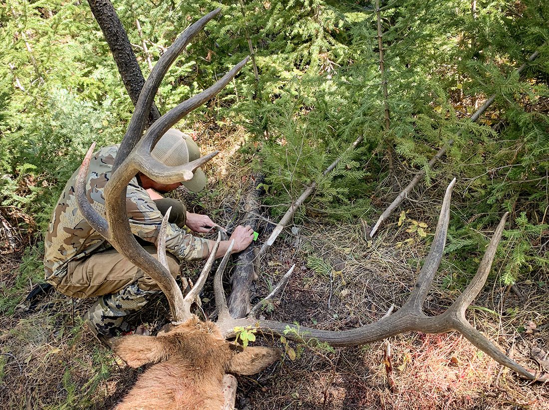52824_Eric Hughston-ELK-WY-DIY-PLimage1