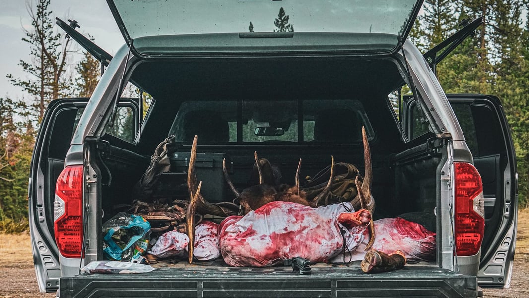 Elk_Truck