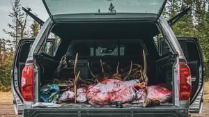 Elk_Truck