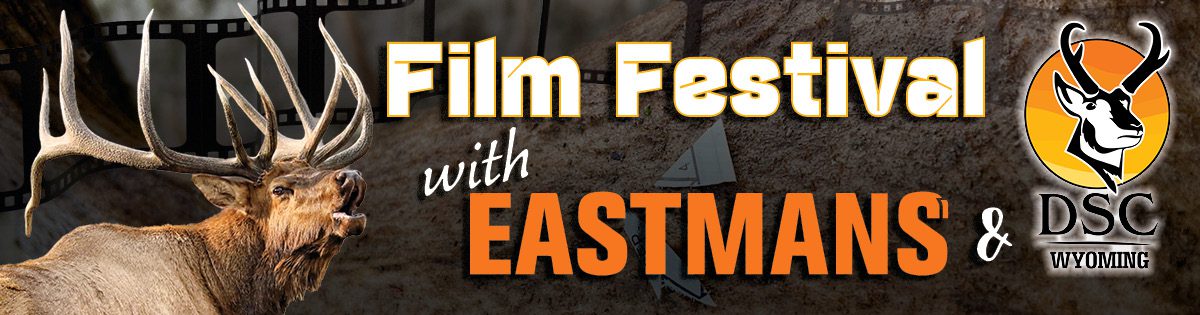FilmFest_Banner