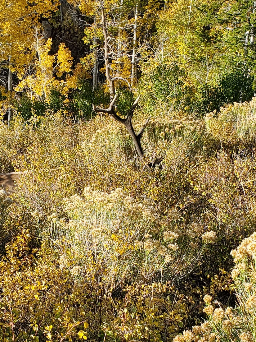 073024_Brian Barker-ELK-UT-DIY-PL_20210930_090851_Edits