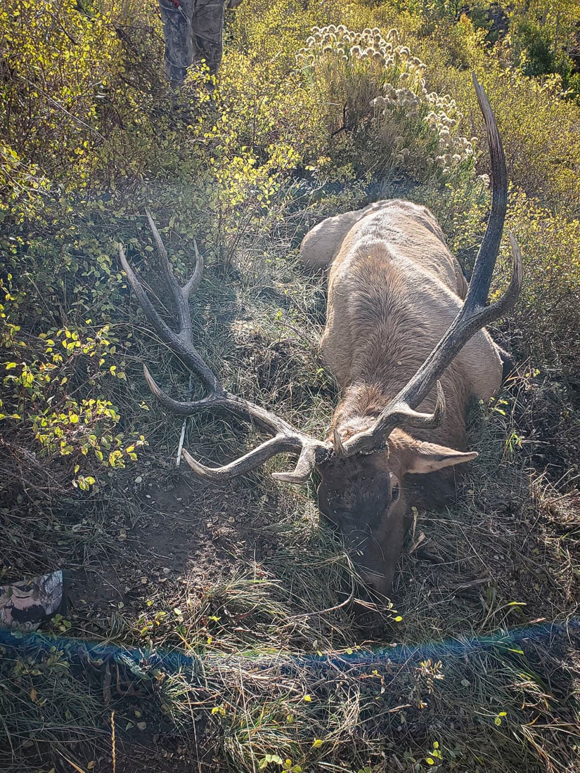 073024_Brian Barker-ELK-UT-DIY-PL_20210930_092603_Edits