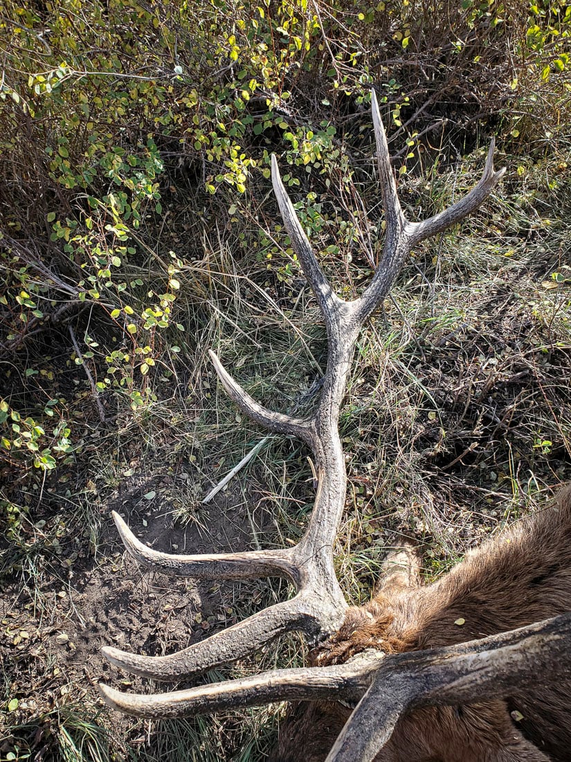 073024_Brian Barker-ELK-UT-DIY-PL_20210930_092646_Edits