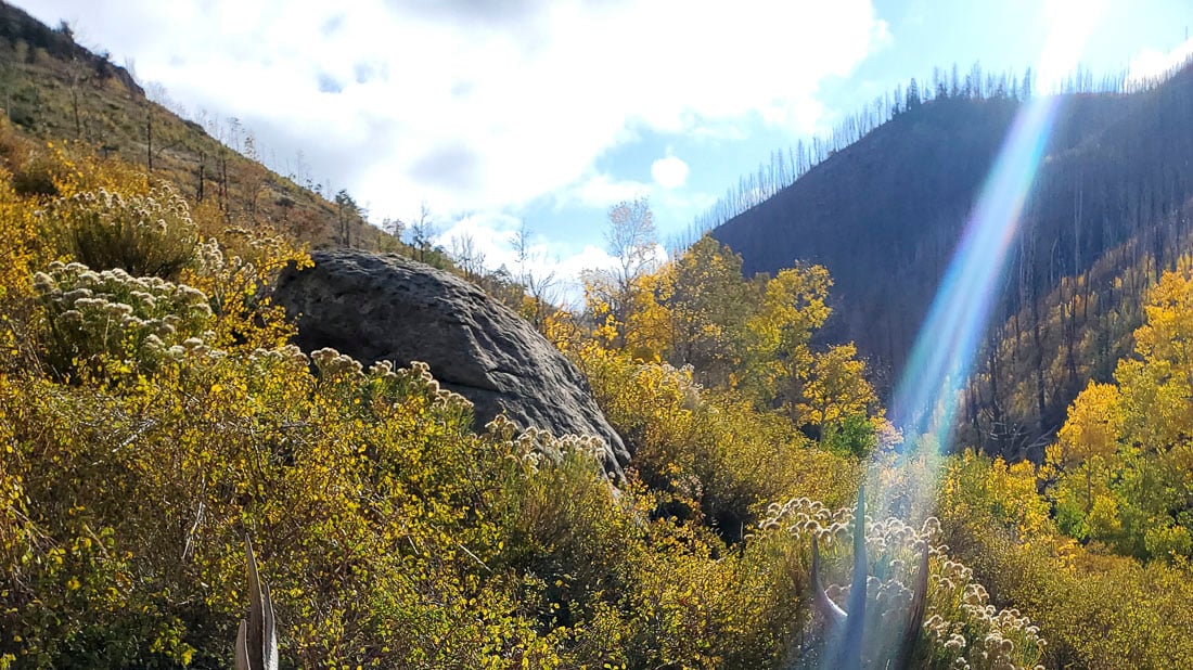 073024_Brian Barker-ELK-UT-DIY-PL_20210930_093022_05_Edits