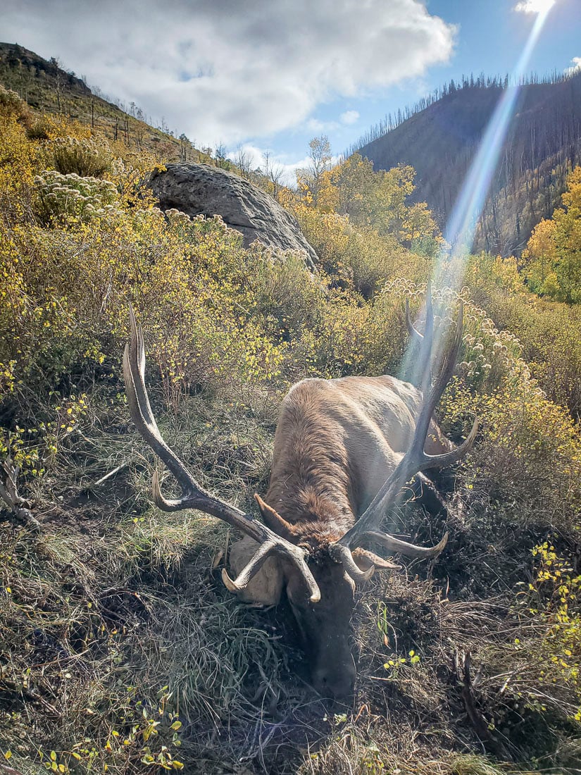 073024_Brian Barker-ELK-UT-DIY-PL_20210930_093039_Edits