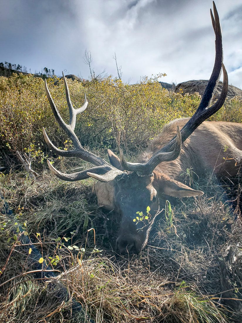 073024_Brian Barker-ELK-UT-DIY-PL_20210930_093056_Edits