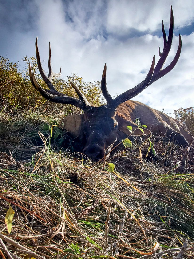 073024_Brian Barker-ELK-UT-DIY-PL_20210930_093130_Edits