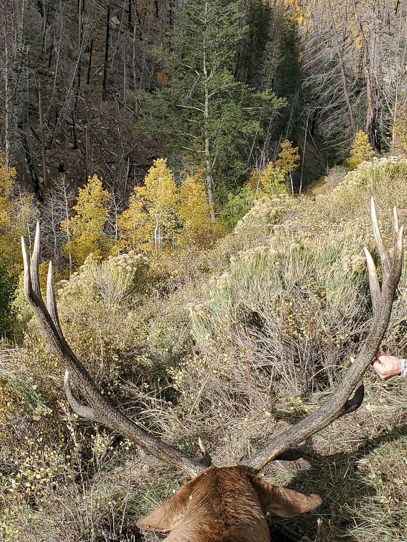073024_Brian Barker-ELK-UT-DIY-PL_20210930_095215_Edits