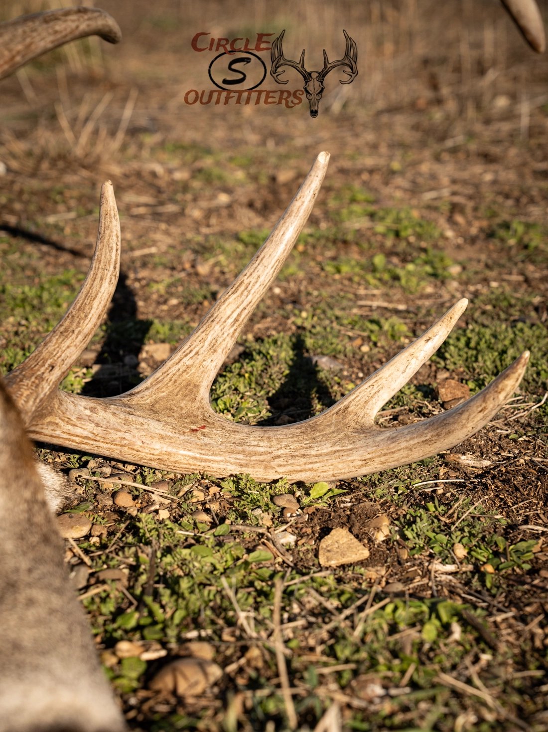 Circle S Outfitters_Watermark_10