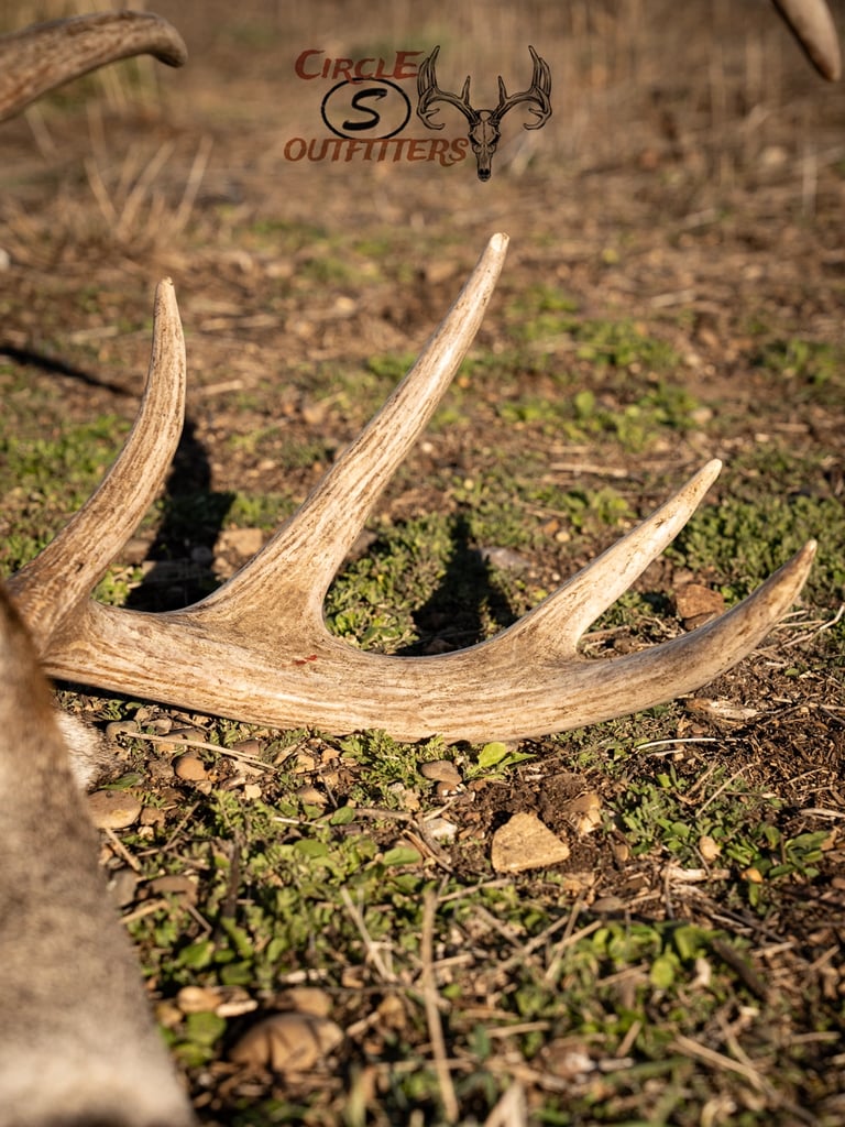 Circle S Outfitters_Watermark_10