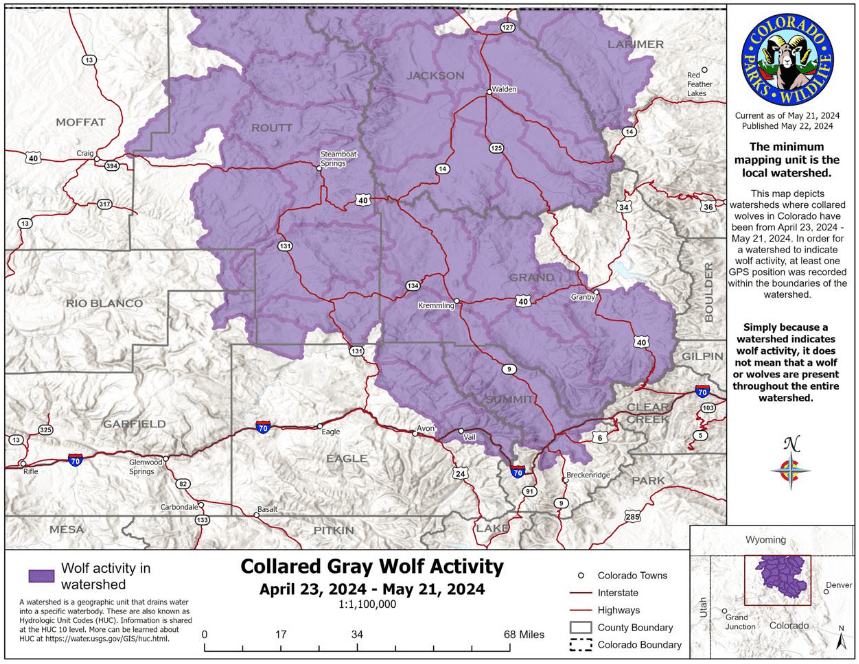 Collared gray wolf activity recorded by CPW from Apr