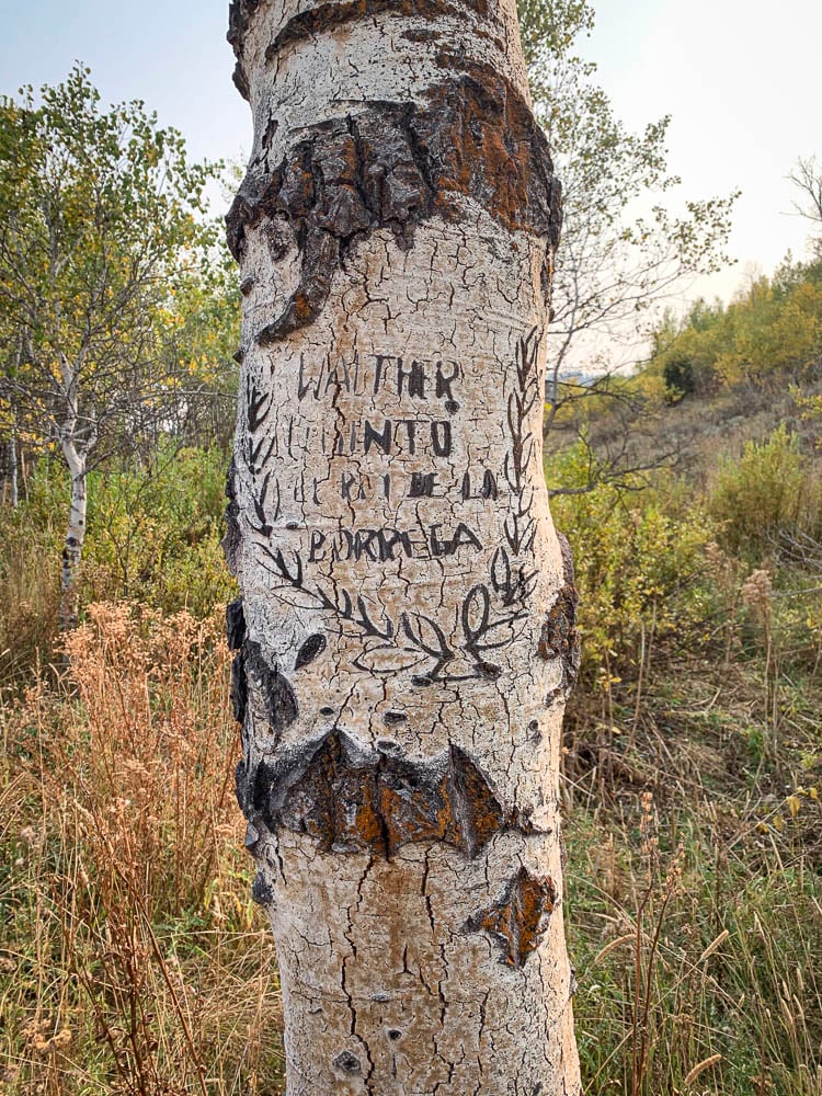 081224_Grant Williamson-ELK-ID-DIY-PL_081224_Grant Williamson-ELK-ID-DIY-PL_IMG_2897_Edits