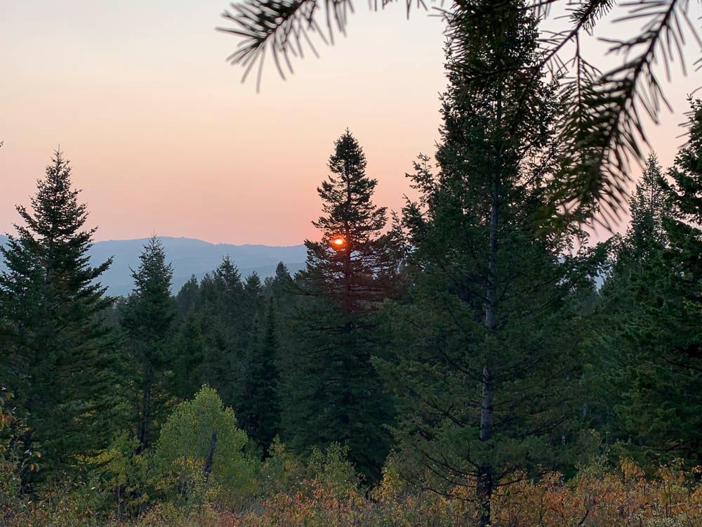 081224_Grant Williamson-ELK-ID-DIY-PL_081224_Grant Williamson-ELK-ID-DIY-PL_IMG_2899_Edits