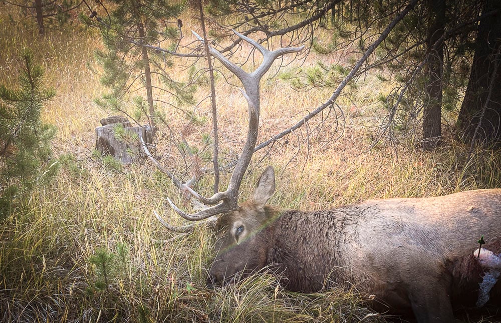 081924_Tanner Leaton-ELK-ID-DIY-PL_IMG-0870