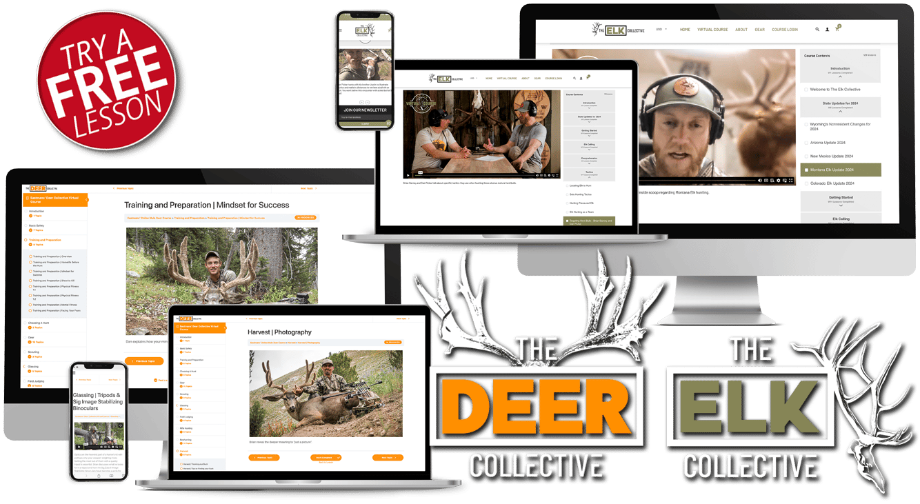 The Collective_Banner
