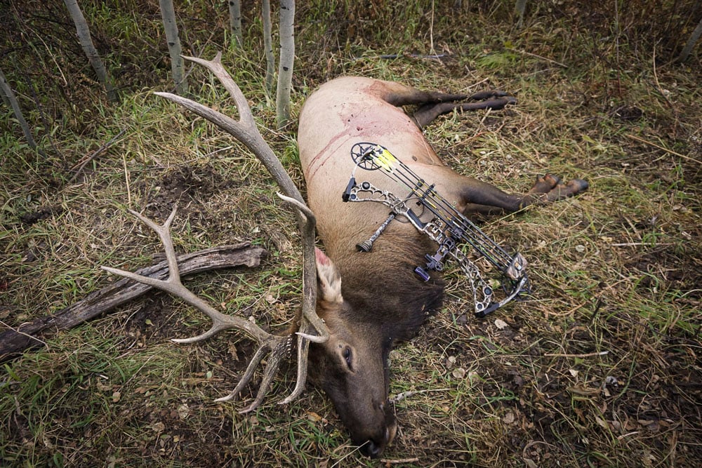 091624_Russ Carone-ELK-CO-DIY-PL_IMG_0012_edited